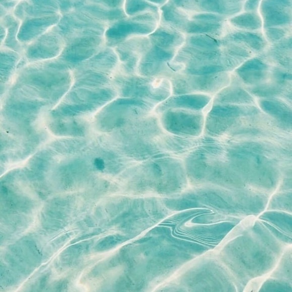 Meet your Posher, Camille - Picture 1 of 1